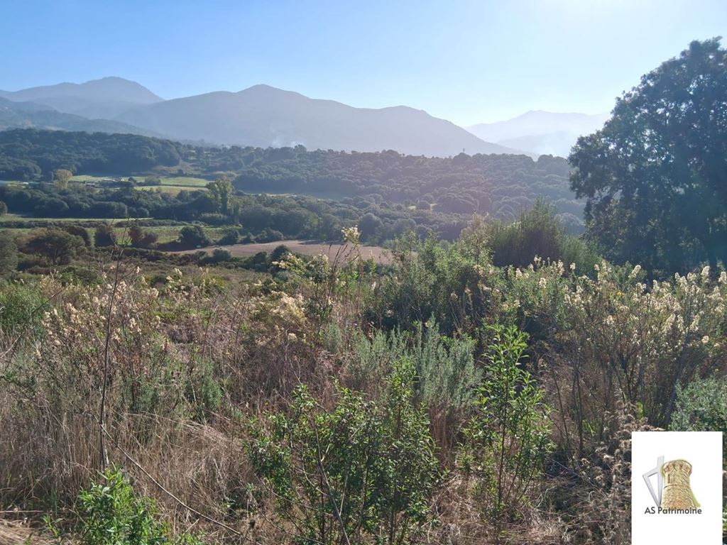 Maison de plain pied BASTELICACCIA 425000€ AS PATRIMOINE